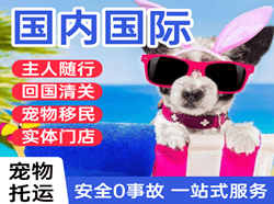 淮安机场邮寄国际宠物托运 【国